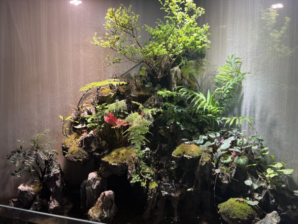 春暖花開(kāi)，物業(yè)客服前臺(tái)綠植養(yǎng)護(hù)日記