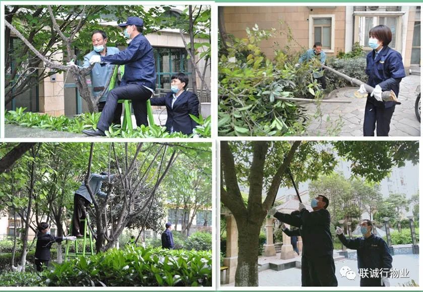 1592907279535190.jpg 13-4.jpg