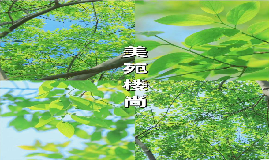 相約春天 花為你開(kāi)
